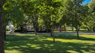 Slovinsko trip - hřebčín Lipica