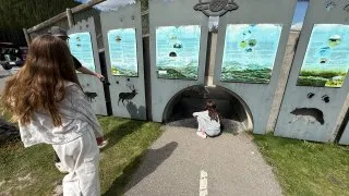 Fotr na tripu 10, Alberta vs Kolumbie