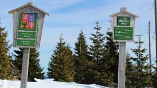 Třístoličník, Šumava