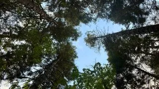 Fotr na tripu 10, itinerář 9