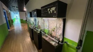 Dacia Bigster, trip Itálie,Acquario Livorno