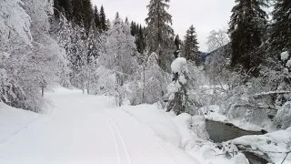 Běžkování v Alpách