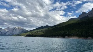 Fotr na tripu 10, medvědi