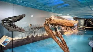 Fotr na tripu 10, dinosauři