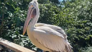 Zoo Praha