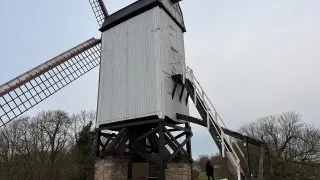 Fotr na tripu 11, Bruggy