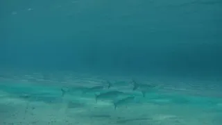 Sardinie 2. díl