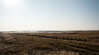 Subaru trip Dánsko, Romo, Mando