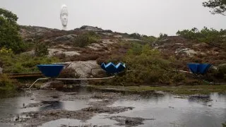 Trip Volvo 2026, Pilane