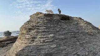 Fotr na tripu 9, Gotland
