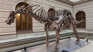 Národní muzeum Praha