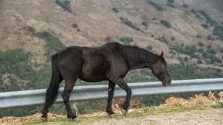 Dacia Bigster, trip Itálie, Bruncu Spina