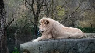 Ford trip, Parco Natura Viva