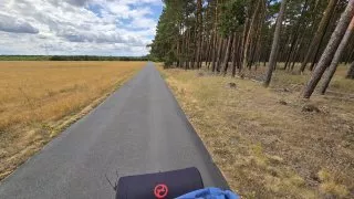 Flaeming inline