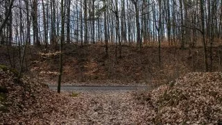 Subaru trip, Baťa, zlín