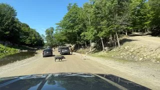 Fotr na tripu 10, Parc Omega