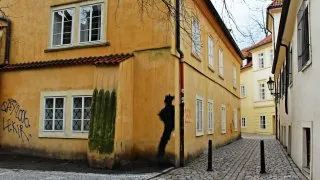 Stínadla