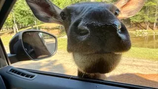 Fotr na tripu 10, Parc Omega