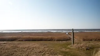 Subaru trip Dánsko, Romo, Mando