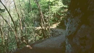 Trip Chorvatsko, fotoaparát Concord