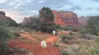 S pejskem na Route 66