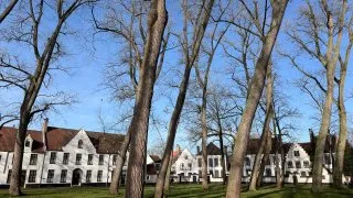 Fotr na tripu 11, Bruggy