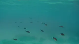 Sardinie 3. díl