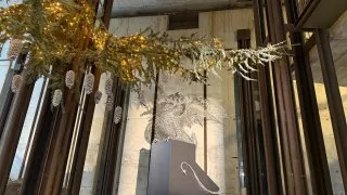 Fotr na tripu 11, Slovinsko