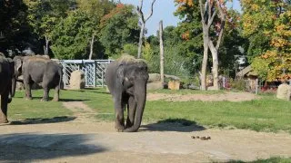 Zoo Praha