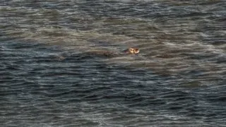 Skotsko roadtrip 2025