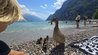 Inline Lago di Garda