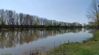 Neusiedler See