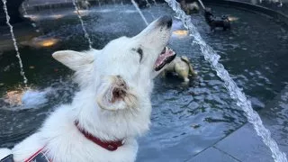 Fotr na tripu 10, odjezd