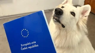 Jedenáctá série Fotra na tripu je definitivně minulostí. Víme, co bude dál