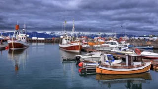 Na Island za velrybami: Nikdy nezapadající slunce, termály, zemětřesení i muzeum penisů