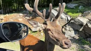 Fotr na tripu 10, Parc Omega