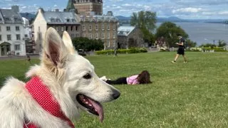 Fotr na tripu 10, Fairmonty