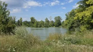 inline Bečva Přerov Lipník Hranice