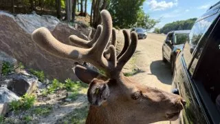 Fotr na tripu 10, Parc Omega