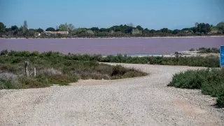 Ford trip, Camargue