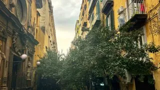 Fotr na tripu 11, Neapol