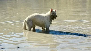 Itinerář Fotra na tripu 10, osmý díl: Dawson City aneb zlatá horečka na vlastní kůži