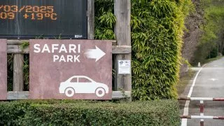Ford trip, Parco Natura Viva