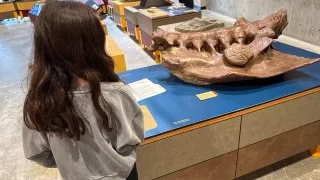 Fotr na tripu 10, dinosauři