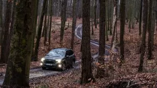 Subaru trip, Baťa