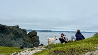 Fotr na tripu 10, velryby