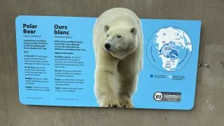 Fotr na tripu 10, medvědi