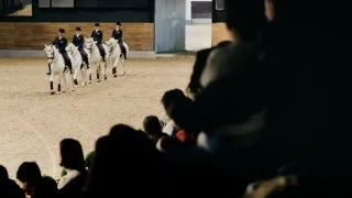 Slovinsko trip - hřebčín Lipica