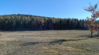 Hohe Wand