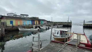 Fotr na tripu 10, velryby